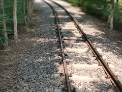 -西青郊野公园