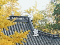 -汇龙潭