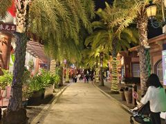 -三亚海昌梦幻海洋不夜城