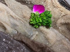 -谭鸭血老火锅(图书馆店)