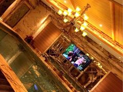 -金紫荆松骨休闲水会