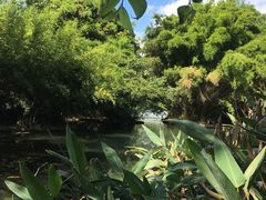 -花溪公园