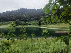 -武陵山森林公园