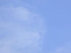 -金庭庄园酒店-停车场