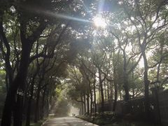 -上海虹桥迎宾馆