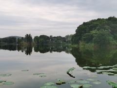 -上海市保健医疗中心