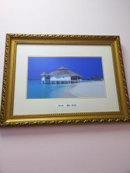 -上海锦妍医疗美容门诊部