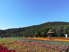 -广州市石门国家森林公园