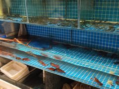 -抚顺美食·老上海味道