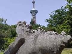-南京古林公园