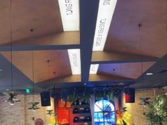 -同仁四季椰子鸡(无锡滨湖万象汇店)