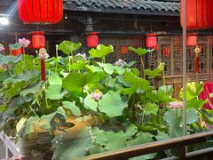 -小龙翻大江文化火锅(宽窄店)