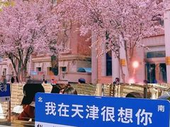 -天津五大道文化旅游区