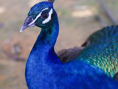 -杭州野生动物世界