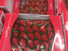 -盒马X会员店(上海森兰商都店)