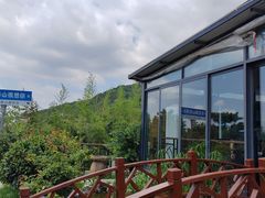 -蘇河湾·新鲁菜·泰山宴(泰山店)