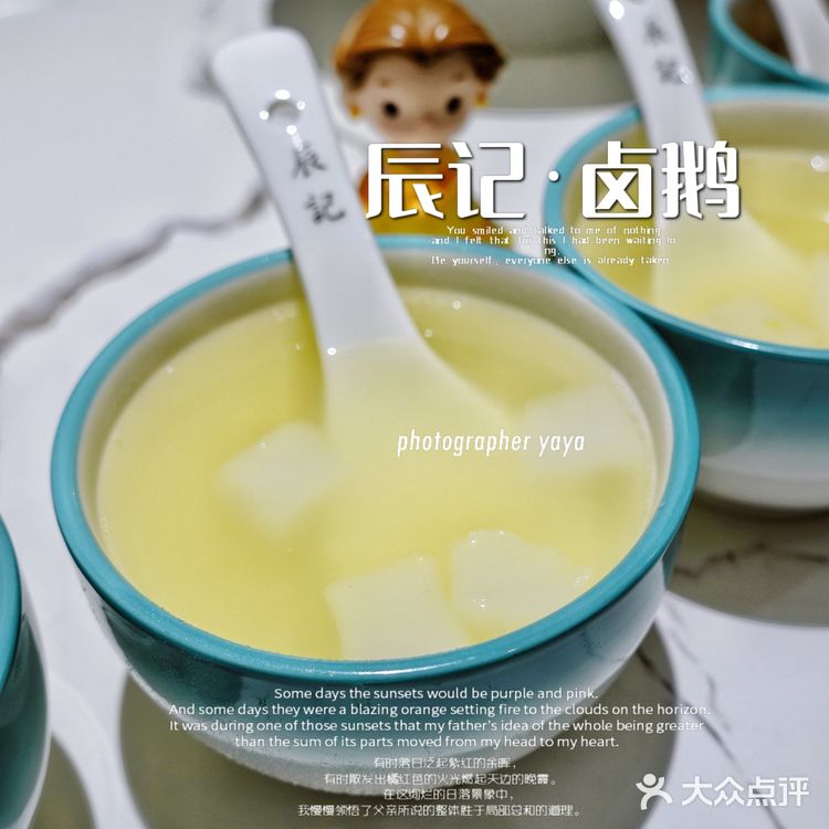 辰记 卤鹅｜藏着“世界鹅王”狮头鹅！