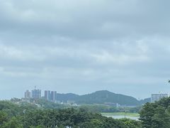 -深圳隐秀山居酒店
