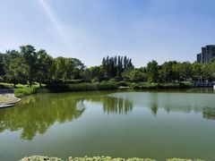 -大望京公园