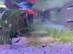 -内蒙古自治区国际蒙医医院(总院)