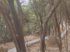 -火炉山森林公园