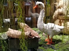 -淀里船宴(卓达店)