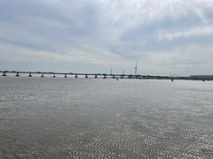 -南汇新城海滩