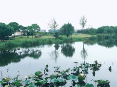 -新江湾城公园