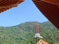-深圳仙湖植物园