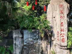 -广州市流溪河国家森林公园