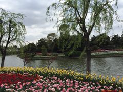 上海鲜花港-上海鲜花港