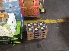 -上海龙吴水胜海发市场