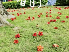 -江滨壹号艺文空间复合餐厅(闽江大道店)