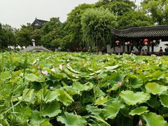 -丝绸小镇荻港古村