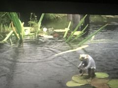 -星辉电影公园(时代广场CC MALL店)