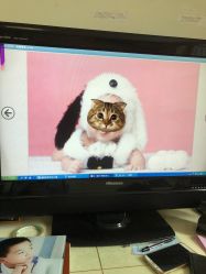 -童影世家儿童摄影(梨园店)