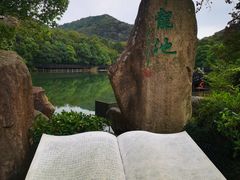 -白马涧龙池景区