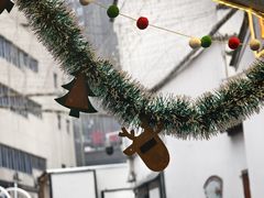 -猫的魔法密林(衣裳街店)