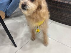 -芭比堂动物医院(广州爱宠下渡路分院)