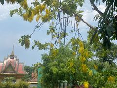 -西双版纳勐泐文化旅游区