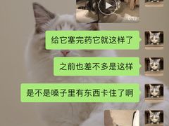 -爱妮康宠物医院·干细胞免疫细胞·肿瘤·心脏(张江店)