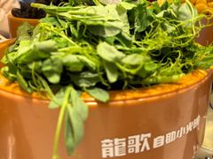 -龍歌自助小火锅(市南金茂湾店)