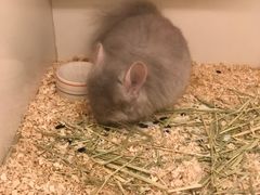 -龙猫仔乐园(惠福东路店)