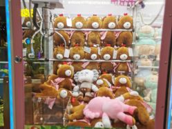 -哈尼鹿儿童乐园(兰州东瓯店)