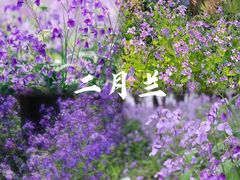 -苏州上方山国家森林公园