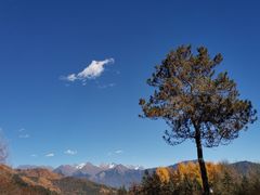 -硗碛藏寨·神木垒景区