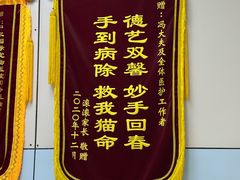 -中农国际动物医院24小时·猫科·骨科·急重症中心