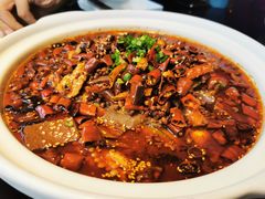 -三强鸽子(中原路店)