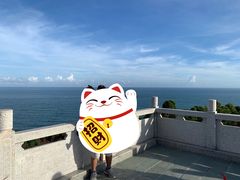 -广东惠东海龟国家级自然保护区