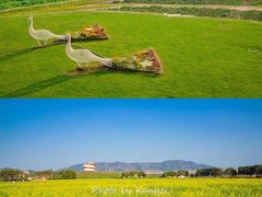 -光明小镇欢乐田园